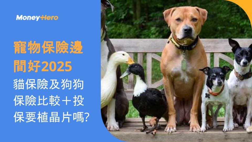 寵物保險邊間好2025︱貓保險及狗狗保險比較+投保要植晶片嗎?