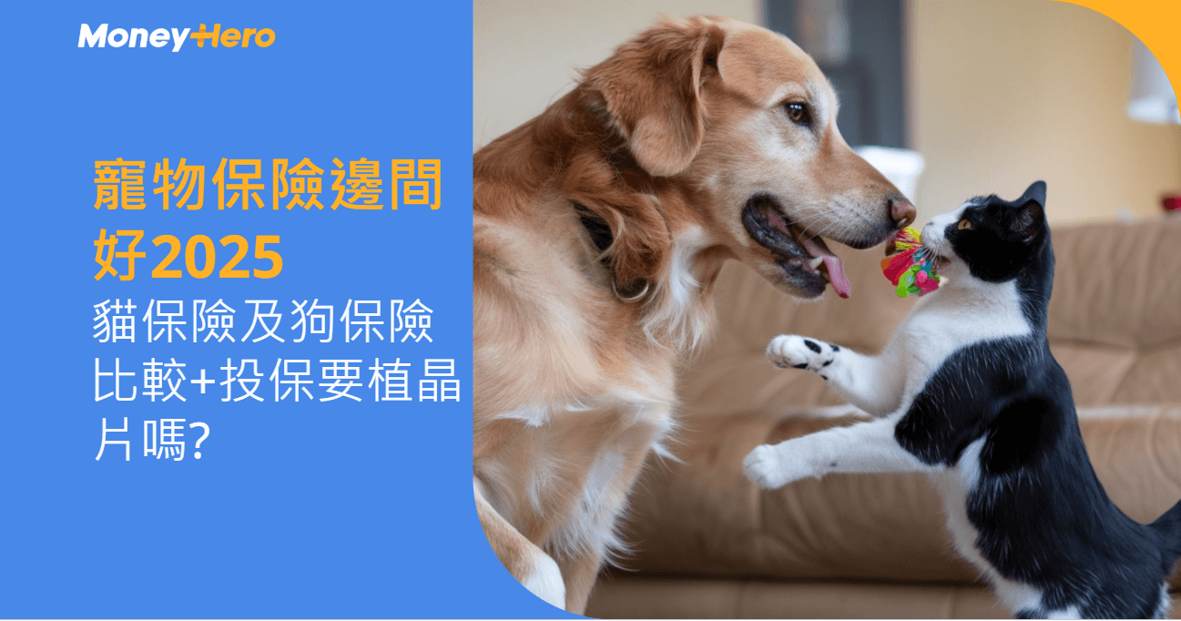 獸醫診所收費|貓狗絕育價錢2025+寵物洗牙/身體檢查保險包唔包?