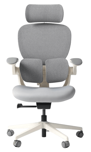 Hinomi Q2 Ergonomic Office Chair (worth S$499)