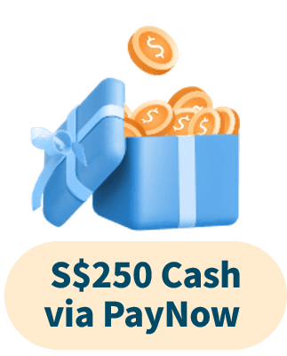 S$250 Cash via PayNow