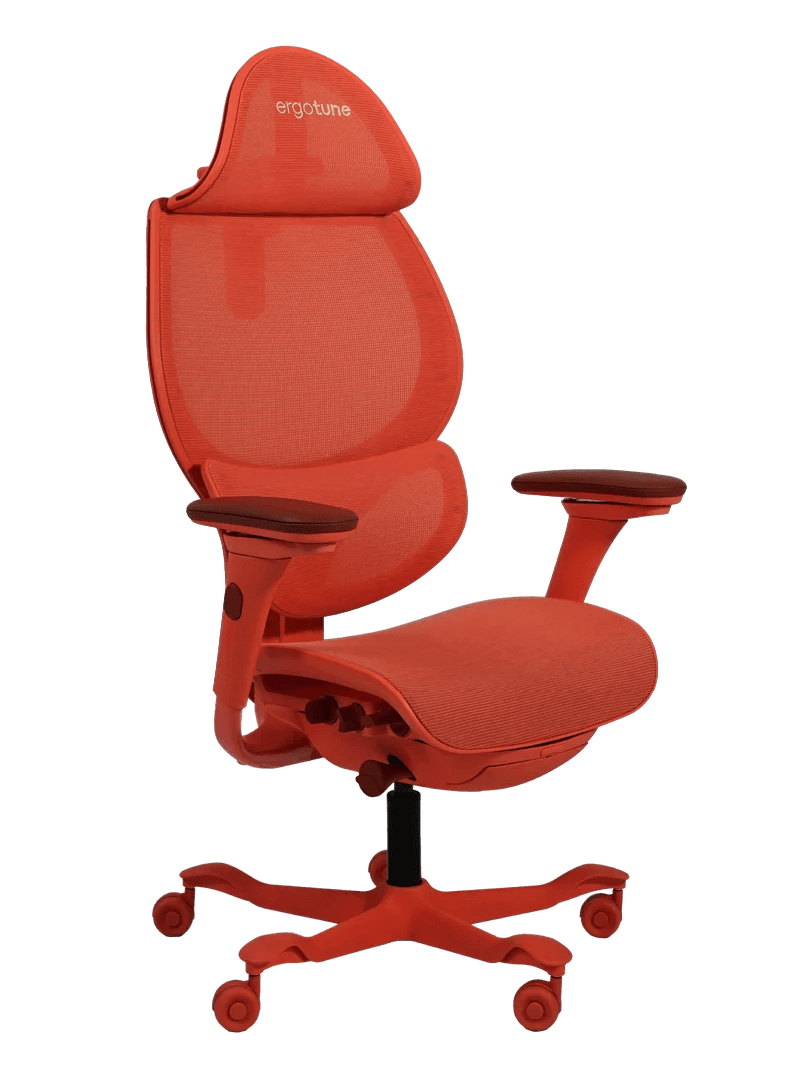 Ergotune Vesby (worth $899)