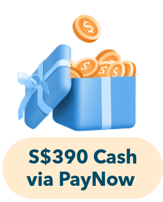 S$390 Cash via PayNow