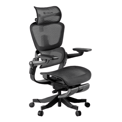 Hinomi H1 Pro V2 Ergonomic Office Chair (worth S$999)