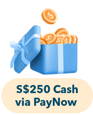 S$250 cash via PayNow
