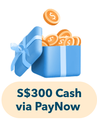S$300 Cash via PayNow
